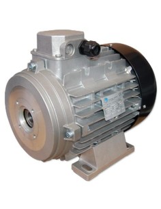 MOTOR 10 CV E/H 3-230/400V 1.450 RPM Ø.24 mm 132S